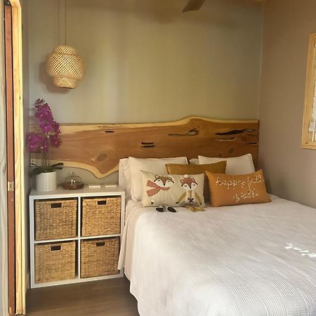 Sweet Tiny Cabin Tampa Extérieur photo