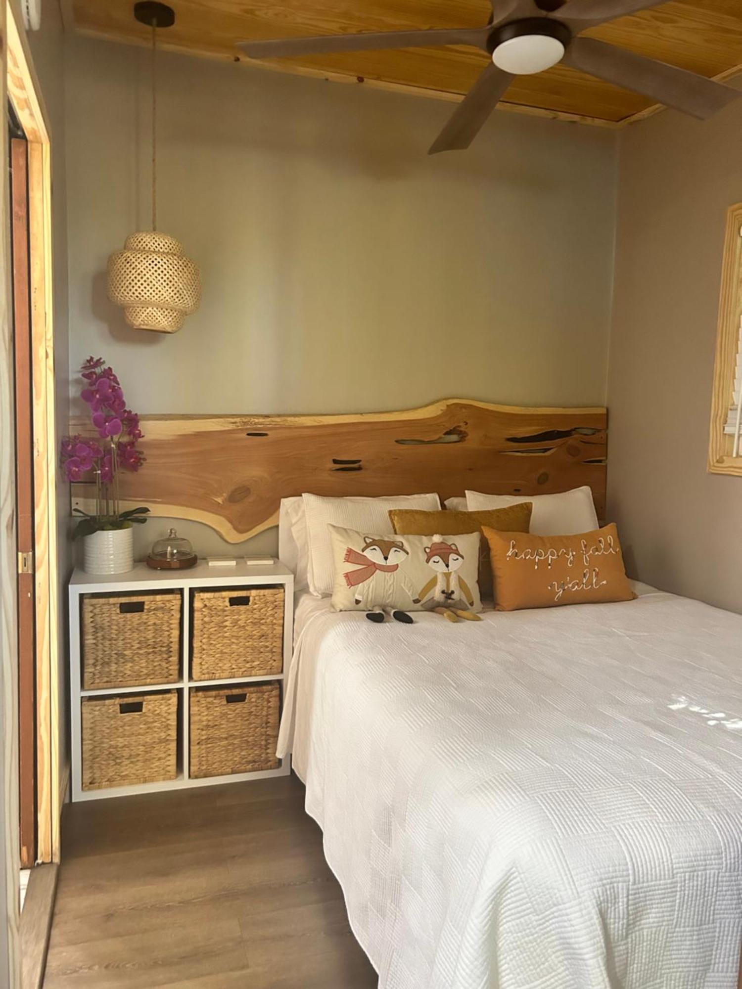 Sweet Tiny Cabin Tampa Extérieur photo